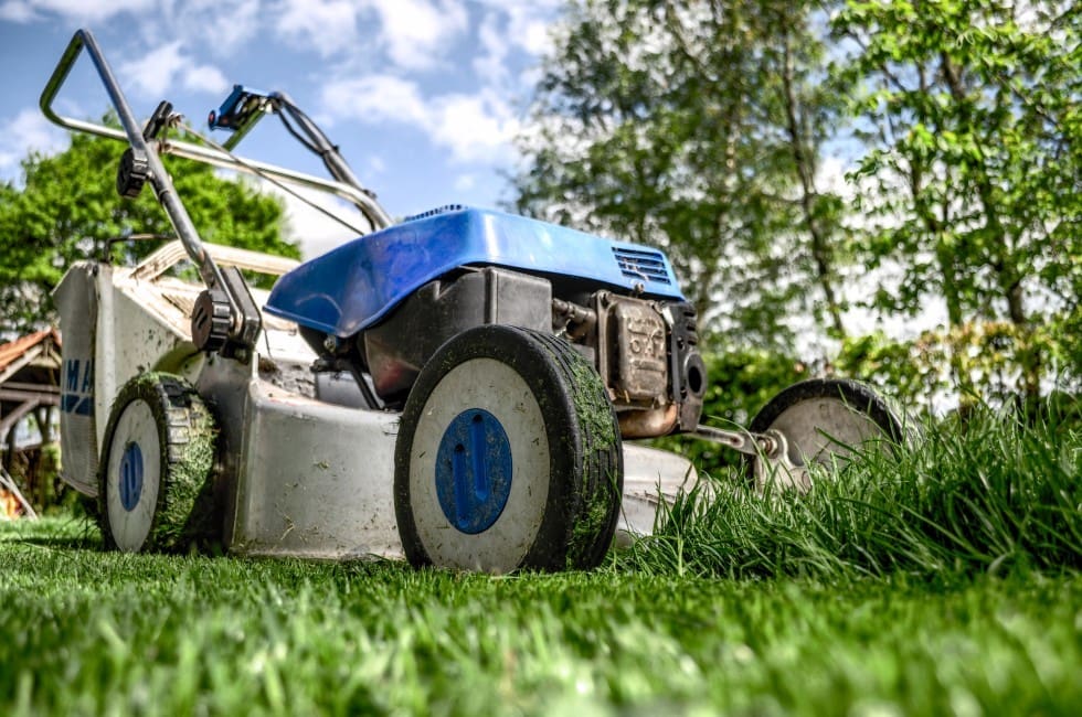 curb appeal landscaping tips mow the lawn