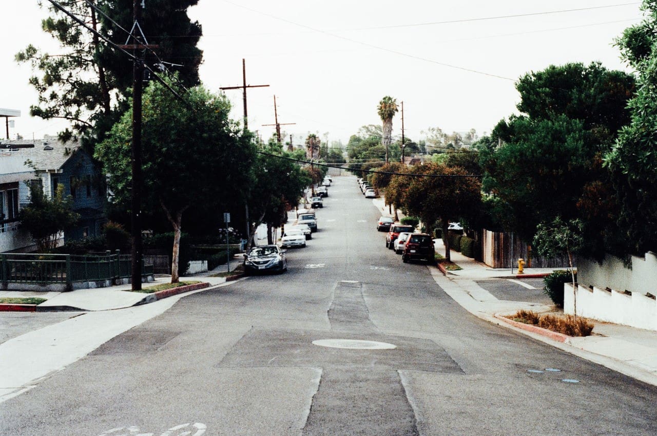 neighborhood trees for better curb appeal