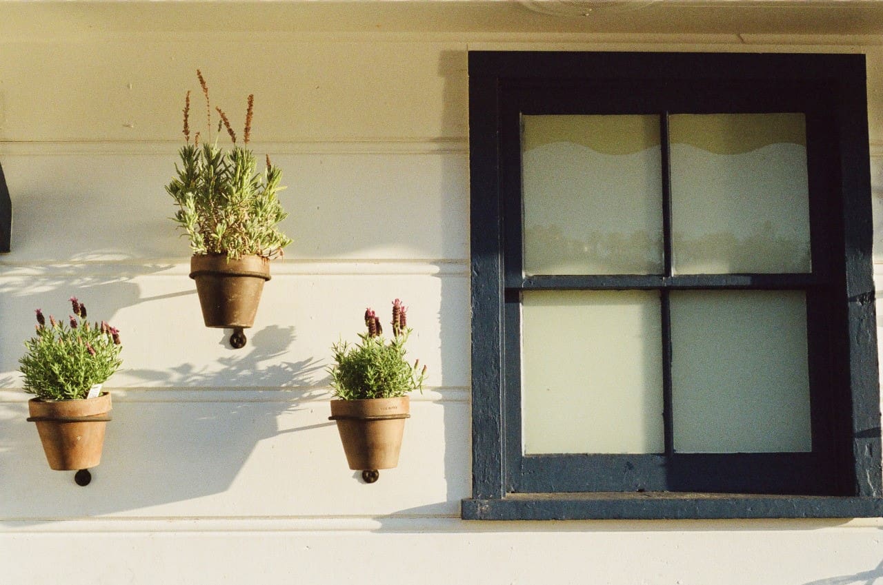 potted plants improve curb appeal
