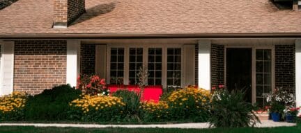 a suburban bungalow with a collection of flowers