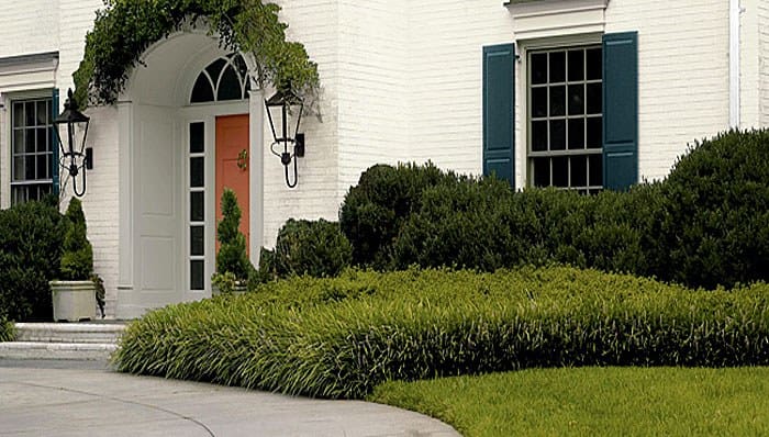 For functional (and beautiful) curb appeal, trim bushes to below windows.