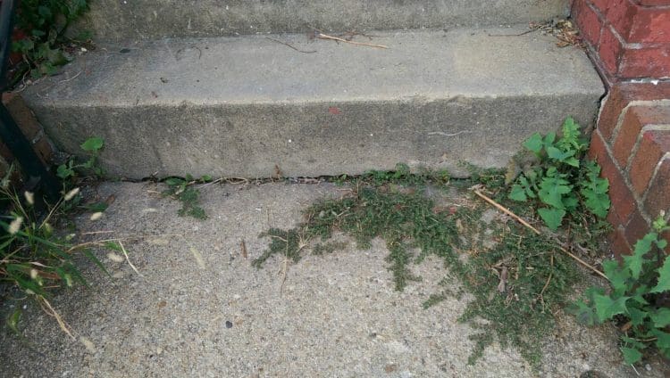 To improve your curb appeal, make sure you repair any cracked pathways and steps.