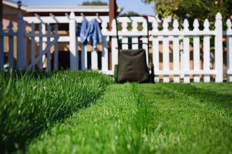 Backyard curb appeal: take care of your lawn