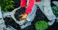 A man improving curb appeal by landscaping a yard.