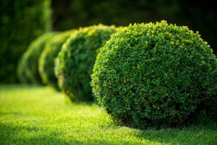 DIY Curb Appeal
