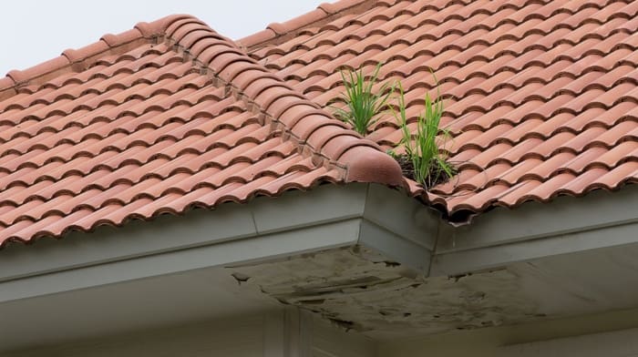 A home without gutters and showing water damage.