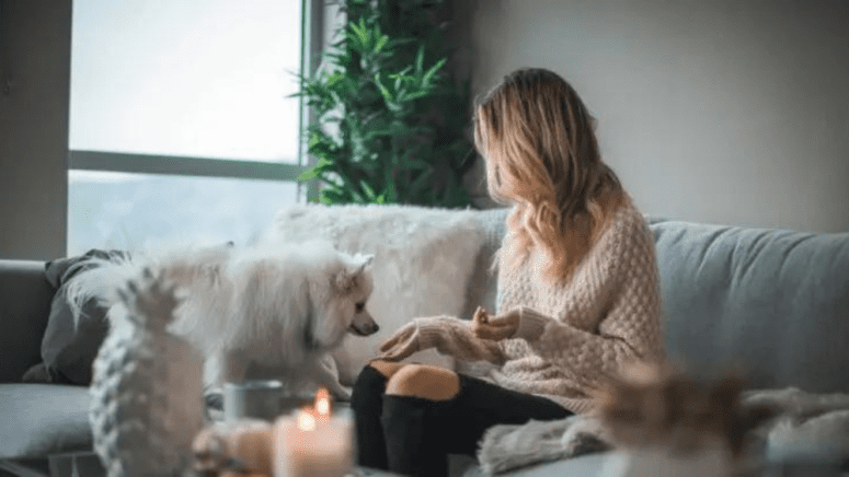 A tenant and a dog in a house that is for sale.