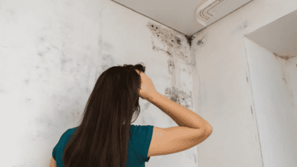 A woman staring a mold in a house that is for sale.