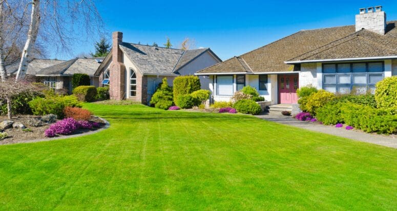 A front yard with curb appeal.