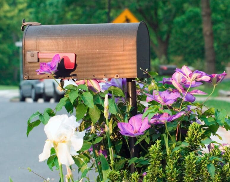 A mailbox with curb appeal.