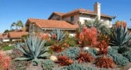 Desert curb appeal in front of a home.