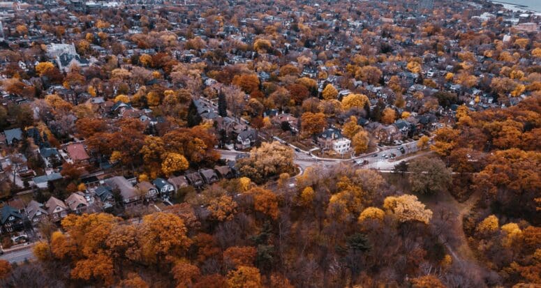 A house you can buy that is near trees.