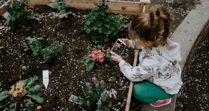 A flower bed is a DIY home improvement idea.