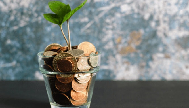 A shot glass with coins and a plant growing out.