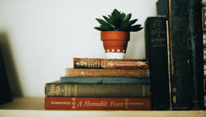 Books decluttered in quarantine during coronavirus.