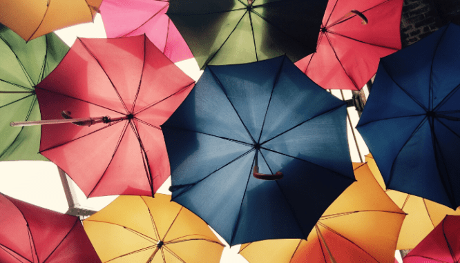 An underneath-view of several colored umbrellas.