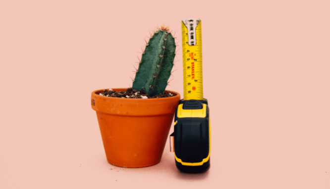 A tape measure, something you should bring with you to an open house.