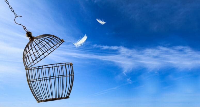 an open cage in a blue sky symbolizes how first-time buyers can escape from paying PMI