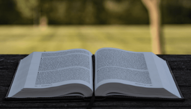 A book used to understand how executors inherit property.