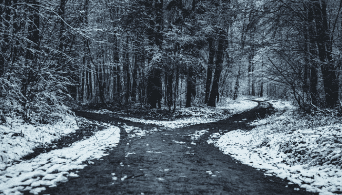 A fork in the road between retirement or a house.