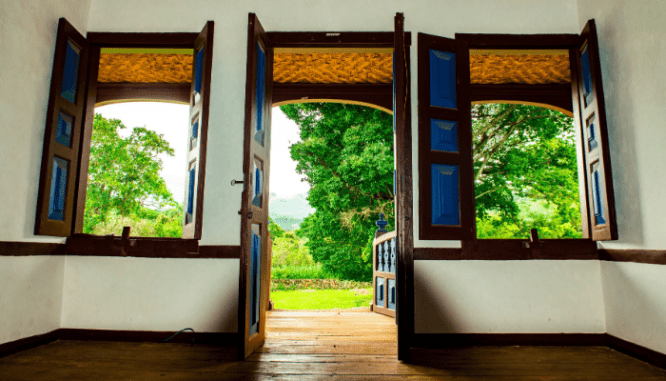 An open door and windows on either side, leading out into a green yard with trees.