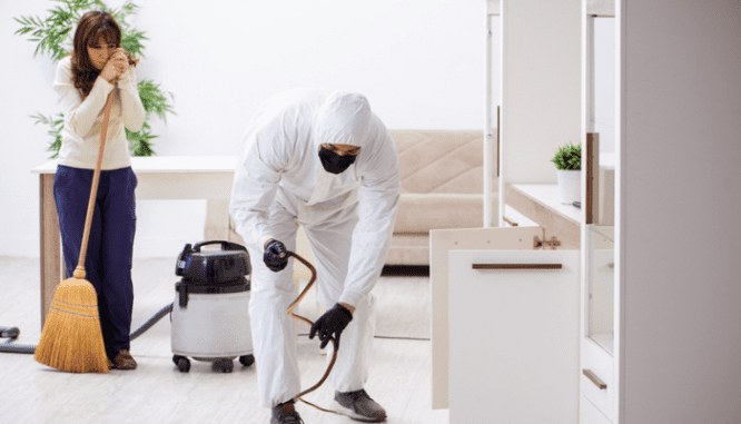 An exterminator getting rid of mice in a house.