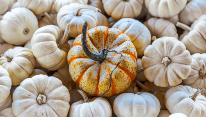 Add seasonal decor to a new home fall winter curb appeal