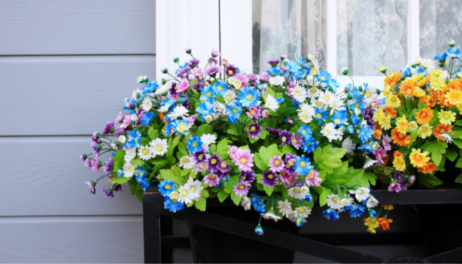 A window box on a townhome with curb appeal.