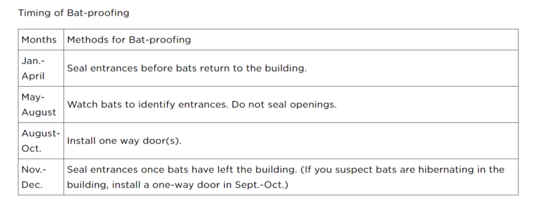 bat-proofing timing