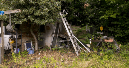 A neighbor's yard with junk in it.
