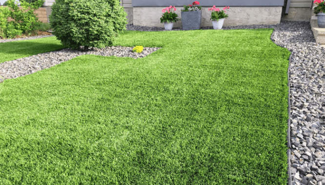 Put in an strained lawn when going to sell house fast in el paso