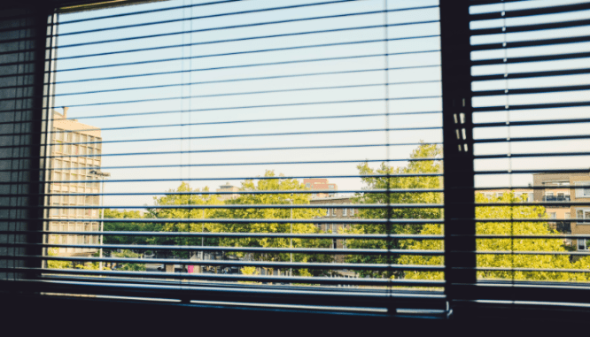 An image of trees through blinds to demonstrate the importance of reparations in Evanston.