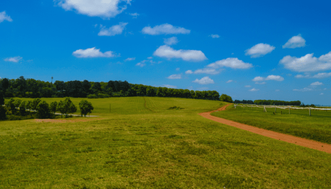 A field where a septic tank is located.