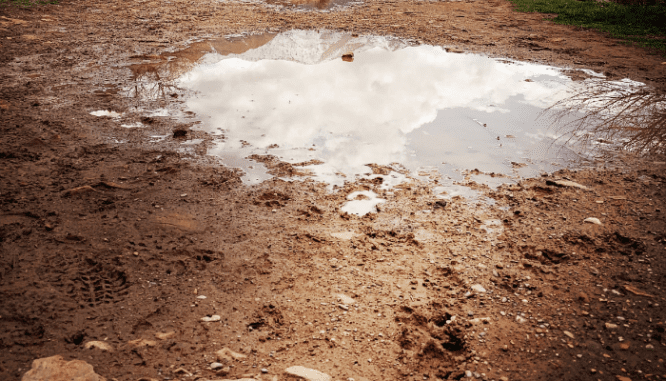 A puddle above a house's septic tank.