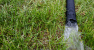 An image of water and grass to demonstrate the process of installing a sump pump under a house.