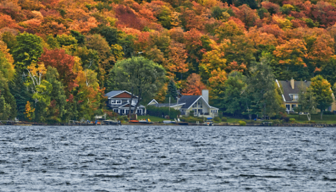 An image of a house surrounded by trees.