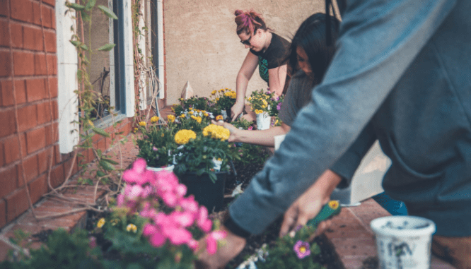 Three people planting flowers in front of a house while working on how to increase home value for appraisal.