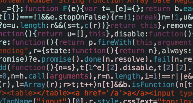 A computer screen displays lines of code used to build online appraisals.