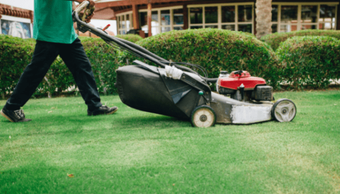 Lawn care is a summer task for home maintenance services