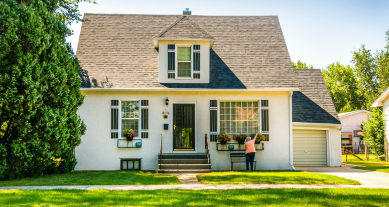 A house with mold that you can sell.