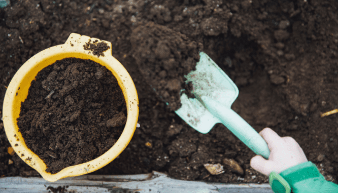 Soil that was in a septic tank that was pumped.