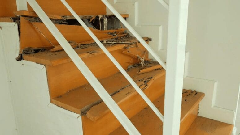 A staircase in a house with termite damage.