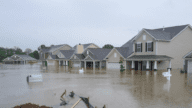 Homes with water damage in the process of selling.