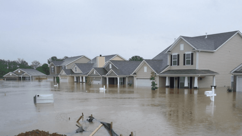 Homes with water damage in the process of selling.