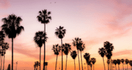 Palm trees at sunset in California, where it is a good time for buying a house.