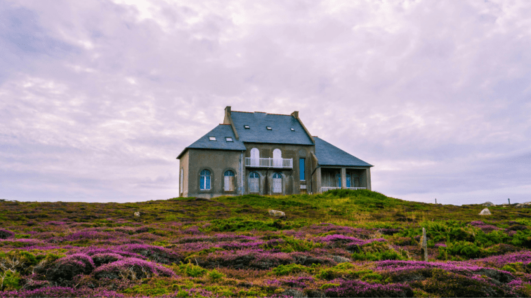 An image of a real estate-owned house