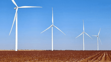 Cotton field and wind turbines in Lubbock, TX, where We Buy Houses companies are common.