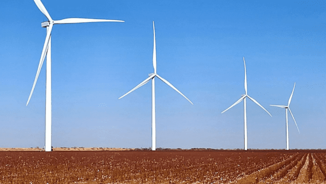 Cotton field and wind turbines in Lubbock, TX, where We Buy Houses companies are common.