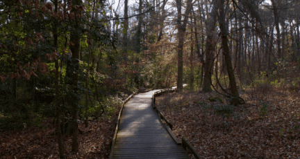 A walking trail located in one of the best 55 plus communities in South Carolina.