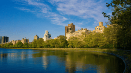 A beautiful view of Central Park in New York, where homeowners are wondering how to sell a house by owner.